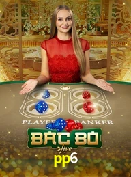 PP6.COM